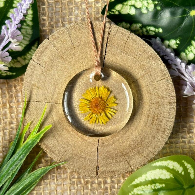 Colar em resina botânica com Flor Margarida amarela