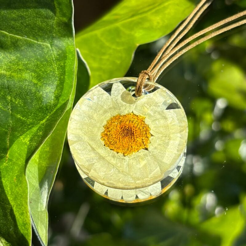 Colar em resina botânica com Flor Margarida
