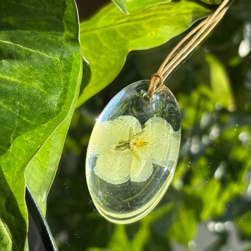 Colar em resina botânica com Flor Amor-Perfeito