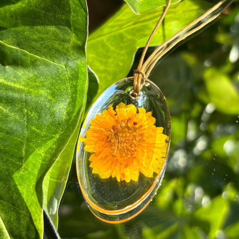 Colar em resina botânica com Flor Calêndula-amarela