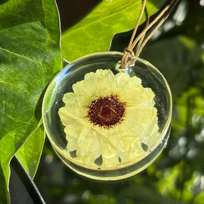 Colar em resina botânica com Flor Crisântemo Amarelo